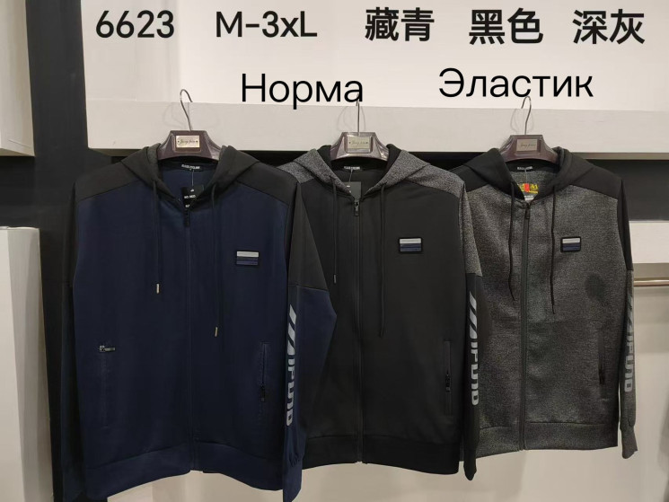 Худі чоловіче, еластик, м.6623 (Розмір: M-3XL ), 3 кольори, в упаковці 5 шт. №332829 - 