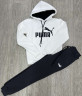 Спортивний костюм дитячий Puma на флісі "1041-2/1001-2" (р: 9-13 років) 3 кольори, в упаковці 5 шт. №379021 - Spider