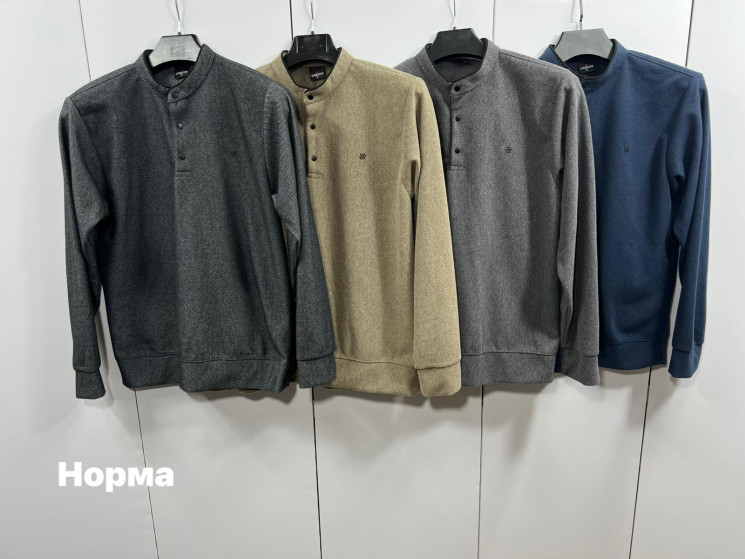 Кофта чоловіча "6980" велюр (р: М,L,XL,2XL) 4 кольори, в упаковці 4 шт. №378495 - Turkey SE897