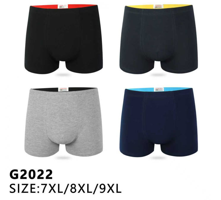Труси чоловічі  м.G2022 (розмір: 7XL-9XL)  мікс кольорів  в упаковці 12 штук №757243 - Haner 449/451