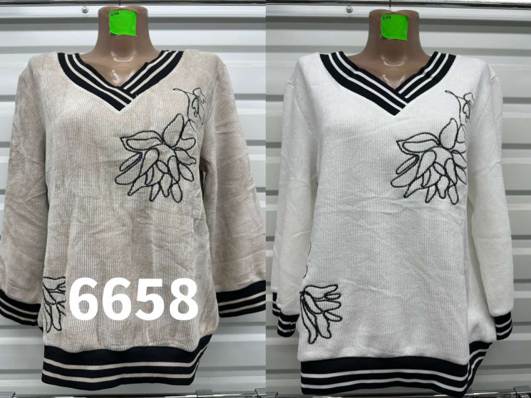 Кофта жіноча "6658" (р: 48-54) 2 кольори, в упаковці 4 шт. №375108 - Natasha SE669
