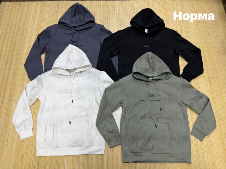 Худі чоловіче, двохнитка (р: L,XL,2XL,3XL,4XL) 4 кольори, в упаковці 5 шт. №388390 - Turkey SE897
