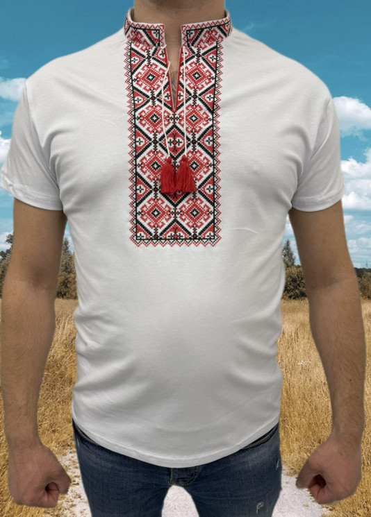 Футболка чоловіча, бавовна (Розмір: S-2XL) в упаковці 5 штук №308581 - Delux 909
