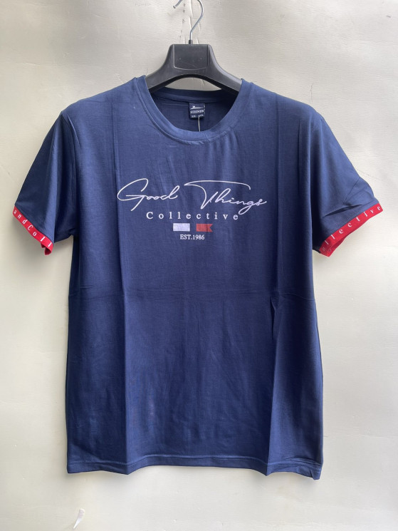Футболка чоловіча (Розмір: 2XL-5XL) упаковці 5 штук №823156 - Dasha SER2146_SE1030 