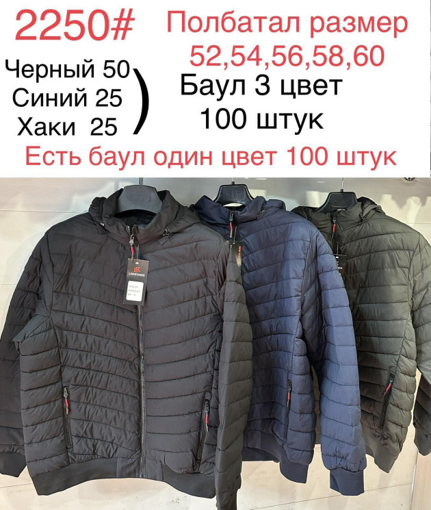 Куртка демісезонна чоловіча, плащівка, 2250, полубатал (р. 52-60) 3 кольори, в упаковці 5 шт. №601056 - Mixmoda SER1772