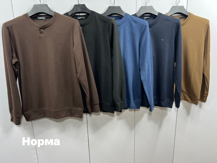 Кофта чоловіча "1714" велюр (р: L,XL,2XL,3XL) 5 кольорів, в упаковці 4 шт. №378498 - Turkey SE897