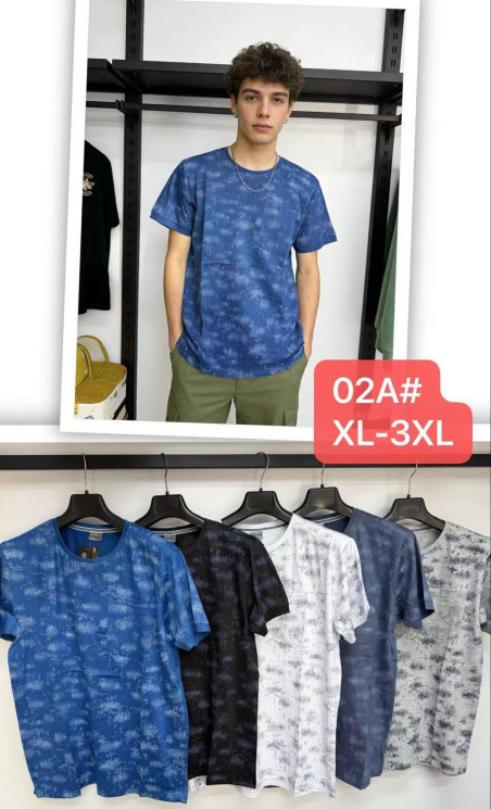 Футболка чоловіча, трикотаж, м.02А (р. XL-3XL ), мікс кольорів, в упаковці 5 штук №340820 - Vanda SE1013