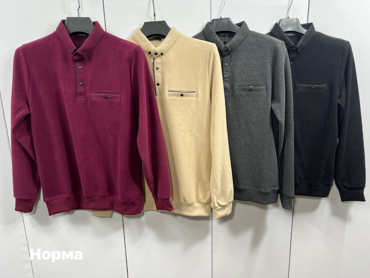 Кофта чоловіча "1726" велюр (р: L,XL,2XL,3XL) 4 кольори, в упаковці 4 шт. №378499 - Turkey SE897