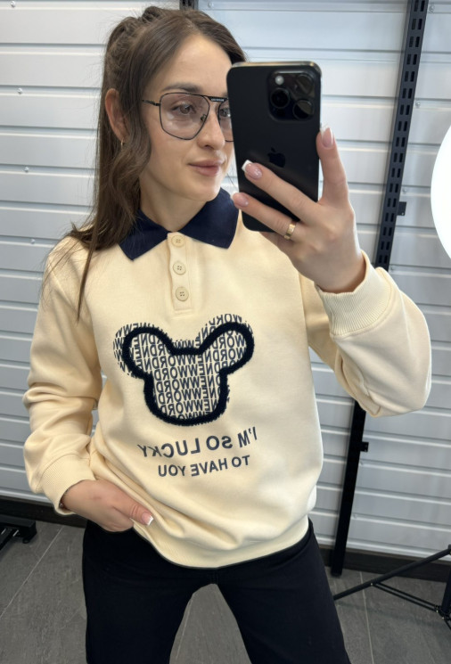 Світшот жіночий трикотаж Лакоста на мікрохутрі  м.271089 (р:L-4XL) 4 кольора в упаковці 5 штук №756465 - Coolme WE3111