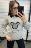 Світшот жіночий трикотаж Лакоста на мікрохутрі  м.271089 (р:L-4XL) 4 кольора в упаковці 5 штук №756465 - Coolme WE3111
