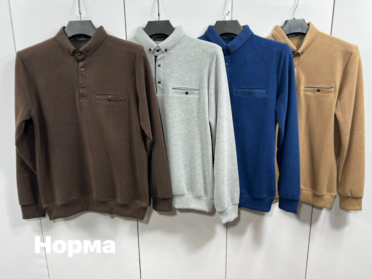 Кофта чоловіча "1726" велюр (р: L,XL,2XL,3XL) 4 кольори, в упаковці 4 шт. №378500 - Turkey SE897