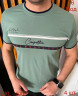 Футболка  чоловіча м.16 (р. 2XL-5XL) 9 кольорів в упаковці 4 штуки №755727 - Nadiyka BG/PO2161-2162
