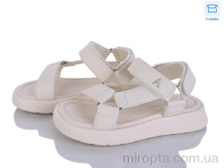 Босоніжки ABX1182P beige р: 26-31, в упаковці: 24 пар, купити тільки гуртом