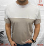 Футболка  чоловіча м.27 (р. 2XL-5XL) 6 кольорів в упаковці 4 штуки №755728 - Nadiyka BG/PO2161-2162