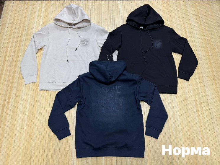 Худі чоловіче, двохнитка (р: L,XL,2XL,3XL,4XL) 3 кольори, в упаковці 5 шт. №388394 - Turkey SE897