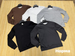 Світшот чоловічий, бавовна (р: М,L,XL,2XL) 5 кольорів, в упаковці 4 шт. №388561