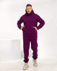 Костюм чоловічий прогулянковий утеплений "Style-26", тринитка з начосом м. 7711 (р. 40-42, 44-46, 48-50, 52-54) марсала №416490