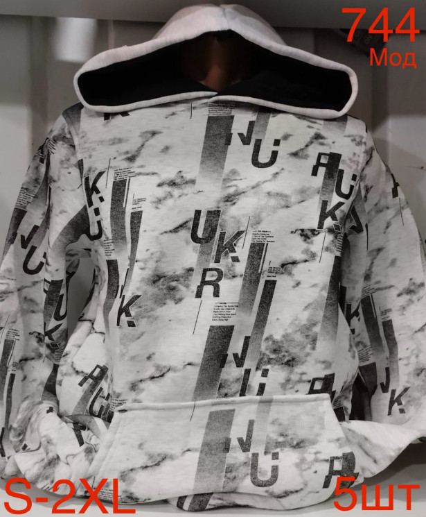 Худі чоловіча фліс м.744 (р.S-2XL) в упаковці 5 штук 759377 - Nadiyka BG/PO2161-2162