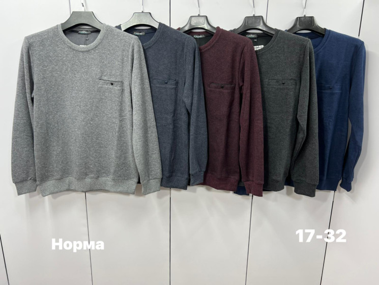 Кофта чоловіча "17-32" селанік (р: L,XL,2XL,3XL) 5 кольорів, в упаковці 4 шт. №378503 - Turkey SE897