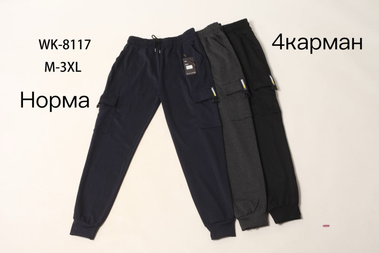 Спортивні штани чоловічі "8117" (р: М-3XL) 3 кольори, в упаковці 5 шт. №372429 - Saturn UG 241