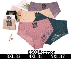 Труси жіночі "8503" (р: 2XL-4XL) 7 кольорів, в упаковці 12 шт. №374186