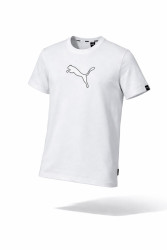 Футболка чоловіча "Puma" комбінований (р: S-2XL) в упаковці 5 шт. №383780