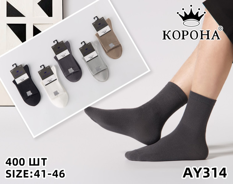 Шкарпетки чоловічі м.AY314 (р:41-46) в упаковці 10 штук №762007 - Haner 449/451