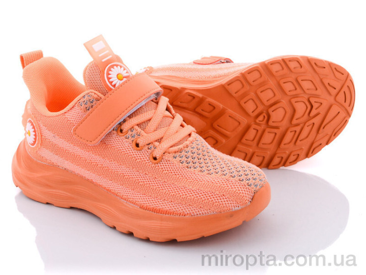 Кросівки D-503 orange р: 32-37, в упаковці: 6 пар, купити тільки гуртом - 582493