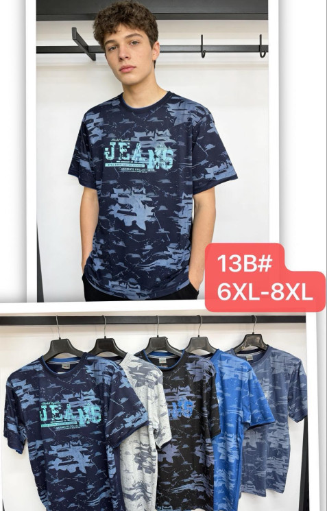Футболка чоловіча, трикотаж, м.13В (р. 6XL-7XL ), мікс кольорів, в упаковці 5 штук №340827 - Vanda SE1013