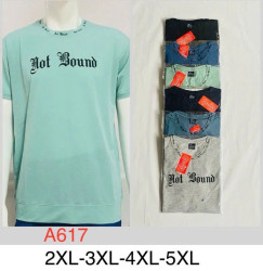 Футболка чоловіча, трикотаж, м.А617 (р. 2XL-5XL ), мікс кольорів, в упаковці 5 шт. №324384