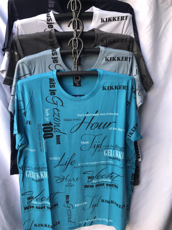 Футболка чоловіча, котон (р. XL-5XL ), мікс кольорів, в упаковці 5 шт. №326568 - Vanda SE1013
