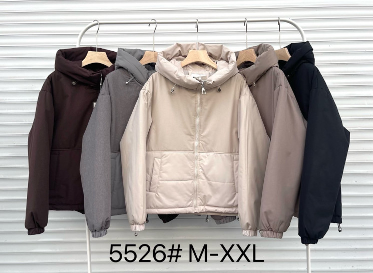 Куртка жіноча, плащівка, синтепон, м.5526 (розмір: M-XXL ), 5 кольорів, в упаковці 4 штуки №339429 - Vanda SE1013