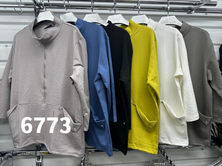 Кофта жіноча "6773" (р: 48-58) 6 кольорів, в упаковці 6 шт. №376227 - Natasha SE669