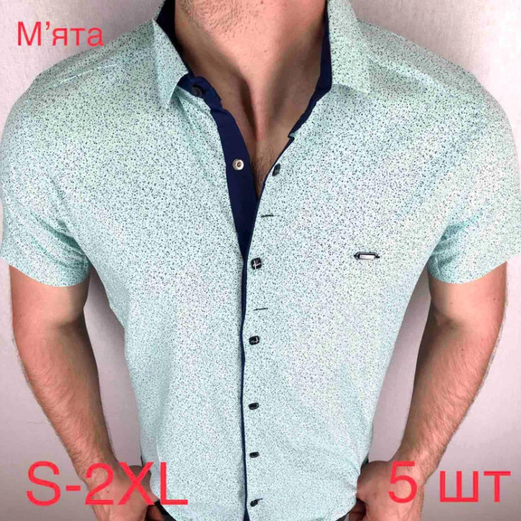Сорочка Paul Semih р S-2XL Чоловіча M035 mint - Nadiyka BG/PO2161-2162