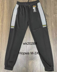 Спортивні штани (Розмір: M-3XL) чоловічі "WK2028" в упаковці 5 штук №814432