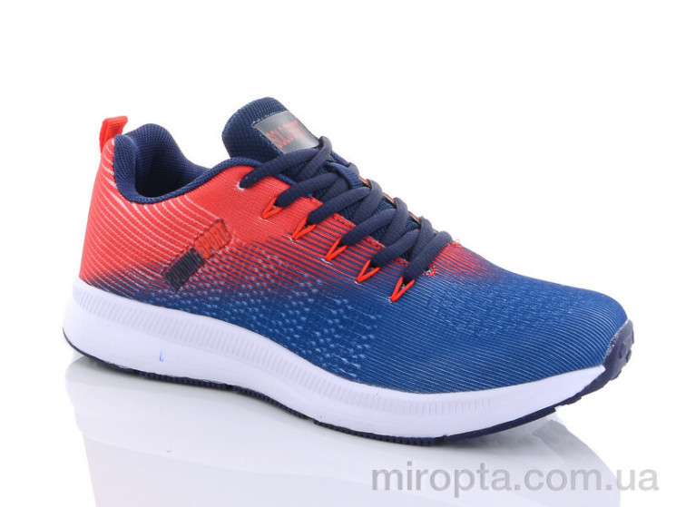 Кросівки BH001-3 р: 36-41, в упаковці: 8 пар, купити тільки гуртом - 462003