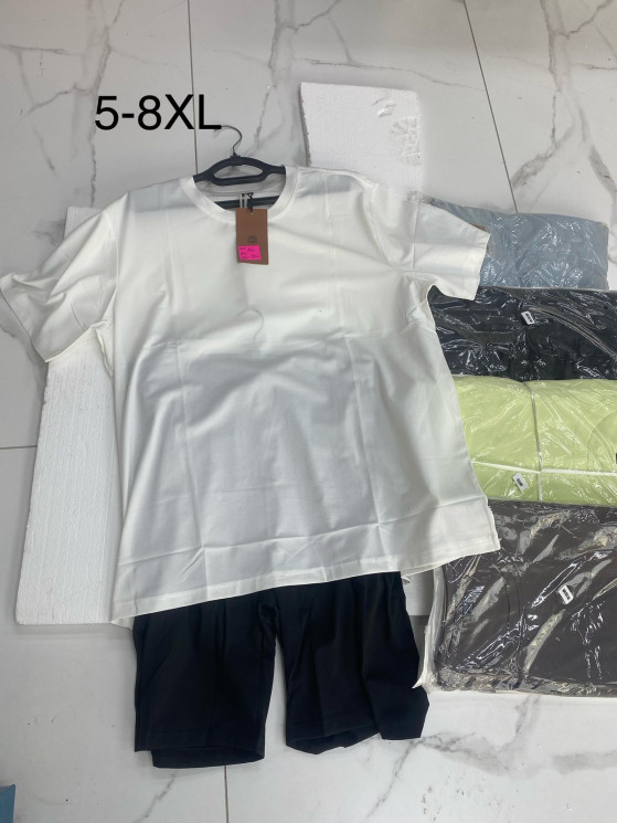 Костюм чоловічий, холодок (Розмір: 5XL-8XL ), 5 кольорів, в упаковці 5 шт. №341478 - 