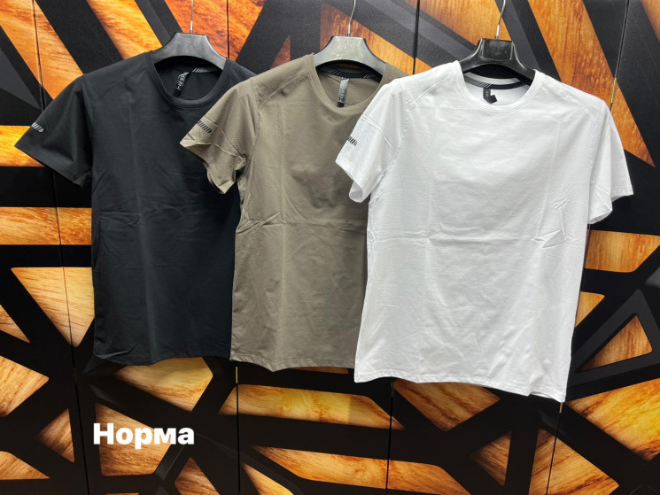 Футболка чоловіча (р: М,L,XL,2XL,3XL) 3 кольори, в упаковці 5 шт. №380870 - Turkey SE897