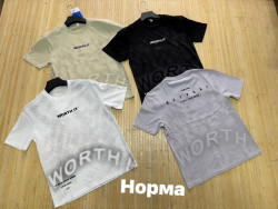 Футболка чоловіча, котон (р: L,XL,2XL,3XL) 4 кольори, в упаковці 4 шт. №386091