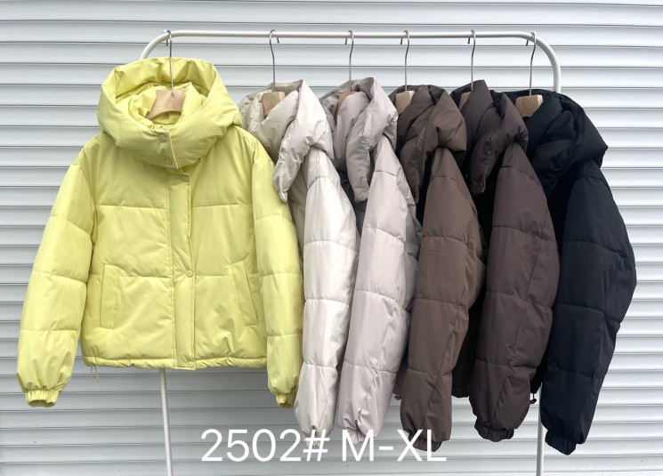 Куртка жіноча, плащівка, синтепон, м.2502 (розмір: M-XL ), 6 кольорів, в упаковці 3 штуки №339433 - Vanda SE1013