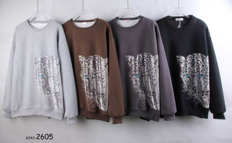 Кофта жіноча трикотаж м.2605 (Розмір:48-54) мікс кольорів в упаковці 10 штук №764334 - Coolme WE3111