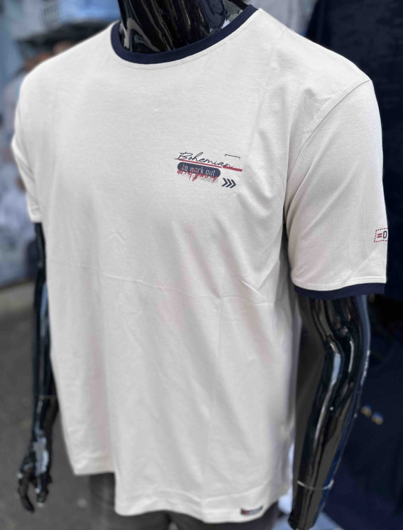 Футболка чоловіча трикотаж (р. 2XL-5XL) 8 кольорів в упаковці 4 штуки №756304 - NikNumbers SE 1041-1042