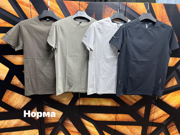 Футболка чоловіча (р: М,L,XL,2XL,3XL) 4 кольори, в упаковці 5 шт. №380871 - Turkey SE897
