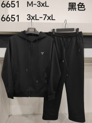Спортивний костюм чоловічий, трикотаж, м.6651 (Розмір: 3XL-7XL ), 2 кольори, в упаковці 5 шт. №332304