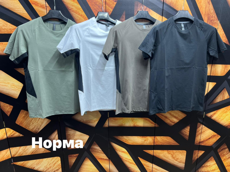 Футболка чоловіча (р: М,L,XL,2XL,3XL) 4 кольори, в упаковці 5 шт. №380872 - Turkey SE897