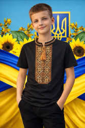 Футболка дитяча, кулір (розміри: 13-17 років), в упаковці 6 штук №342760