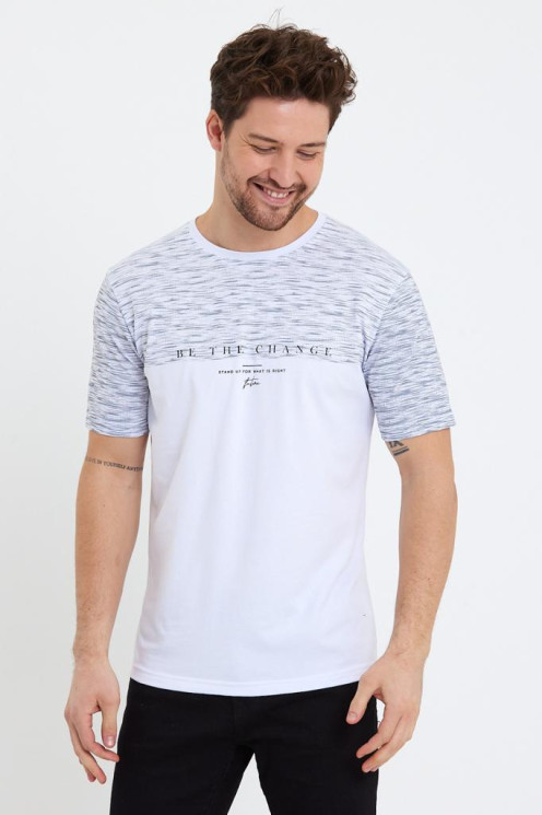 Футболка чоловіча Comeor (Розмір: 2XL-6XL) в упаковке 5 штук №818838 - Wolf HR306