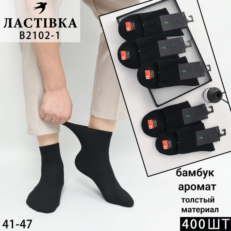 Чоловічі шкарпетки, бамбук, м. B2102-1 (розмір: 41-46), в упаковці 10 пар №348451 - VanKiey WE3069