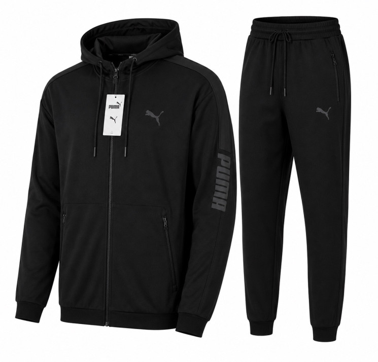 Спортивний костюм чоловічий "Puma" комбінований (р: S-2XL) в упаковці 5 шт. №388017 - AlexClothes SER2276