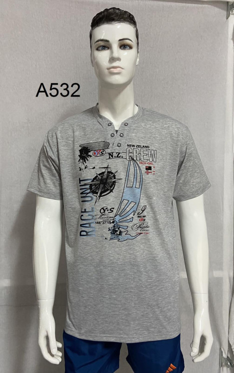Футболка чоловіча А532, трикотаж (р. 2XL–5XL), мікс кольорів, в упаковці 10 штук №323386 - Iris BG/PO436